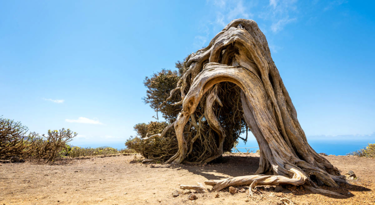 El Hierro